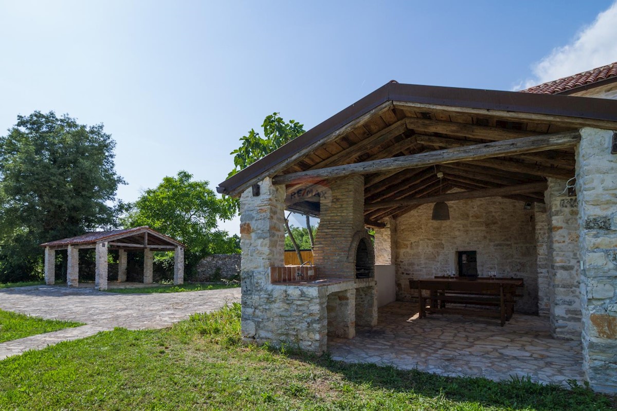 BIČIĆI