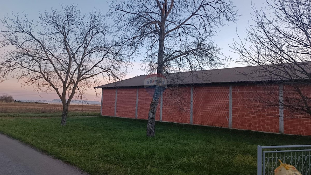 ODRANSKI OBREŽ