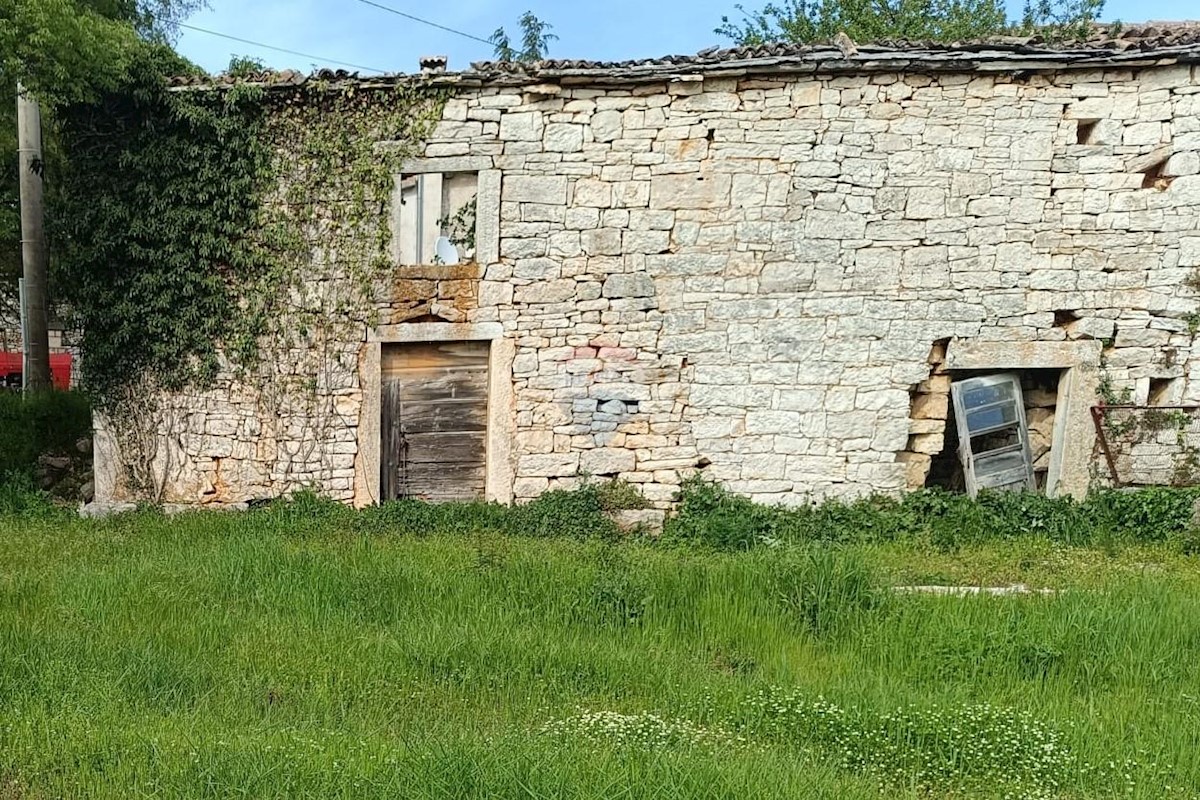 KANFANAR