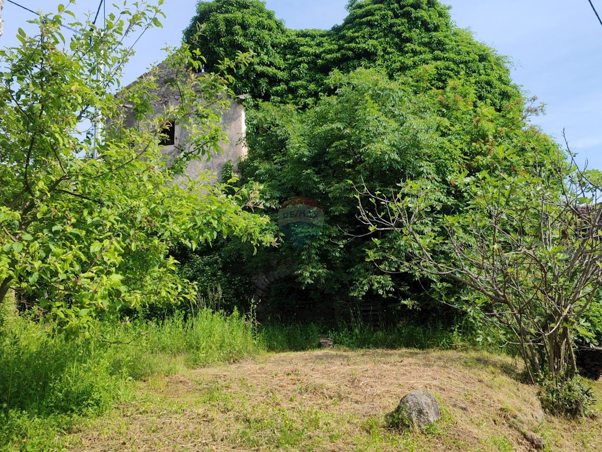 DONJI KRAJ