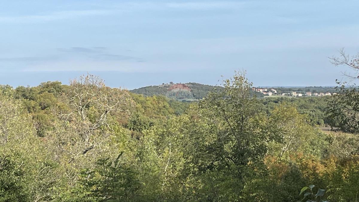 VRSAR
