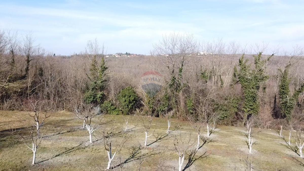 VIŠNJAN