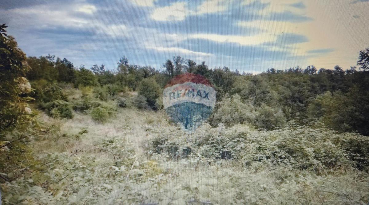 MARČELJI