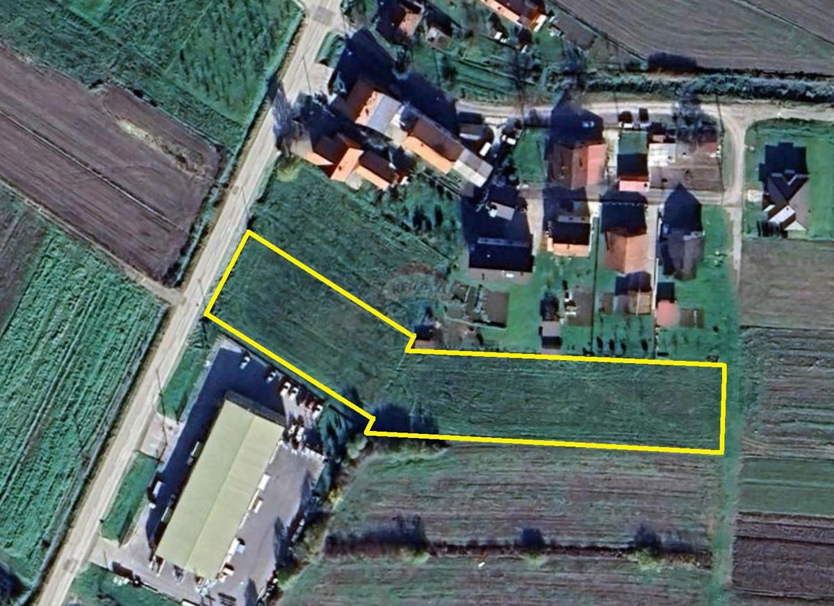 RUGVICA