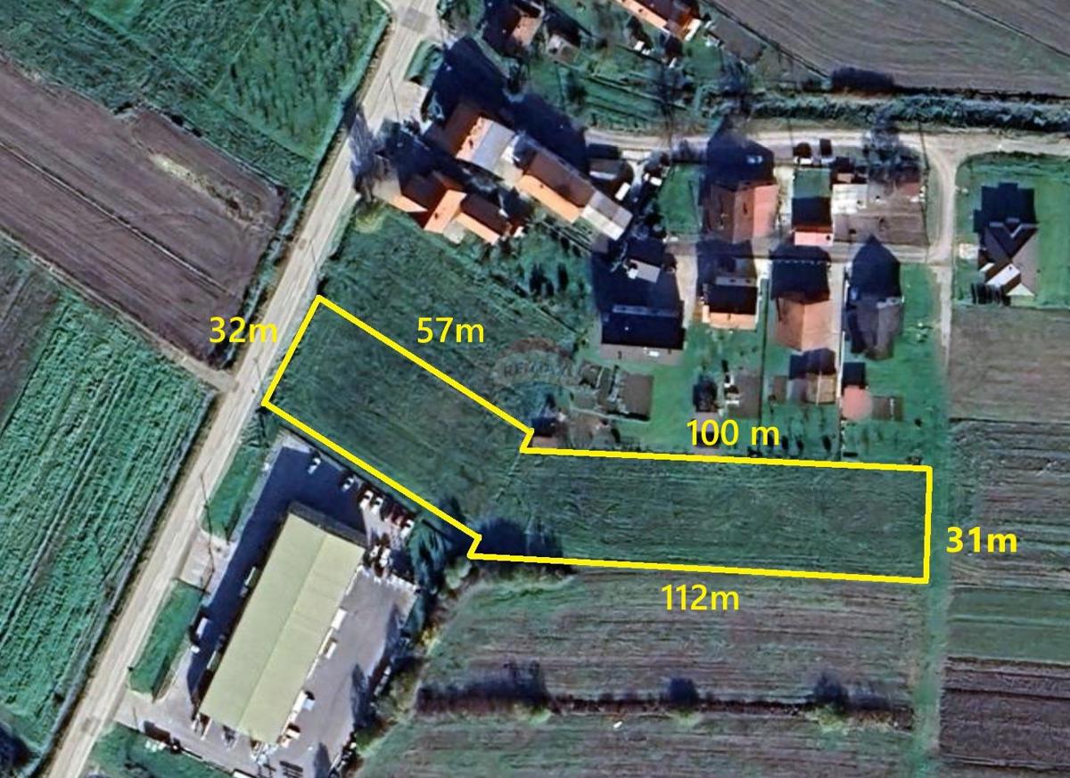 RUGVICA