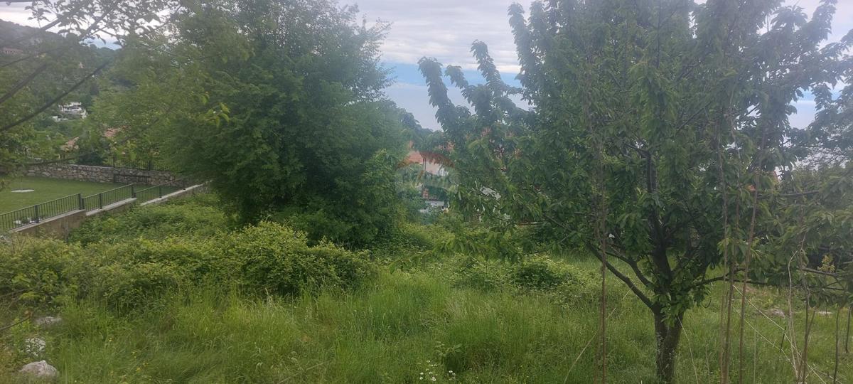 POLJANE
