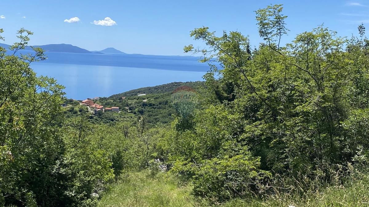 BRSEČ
