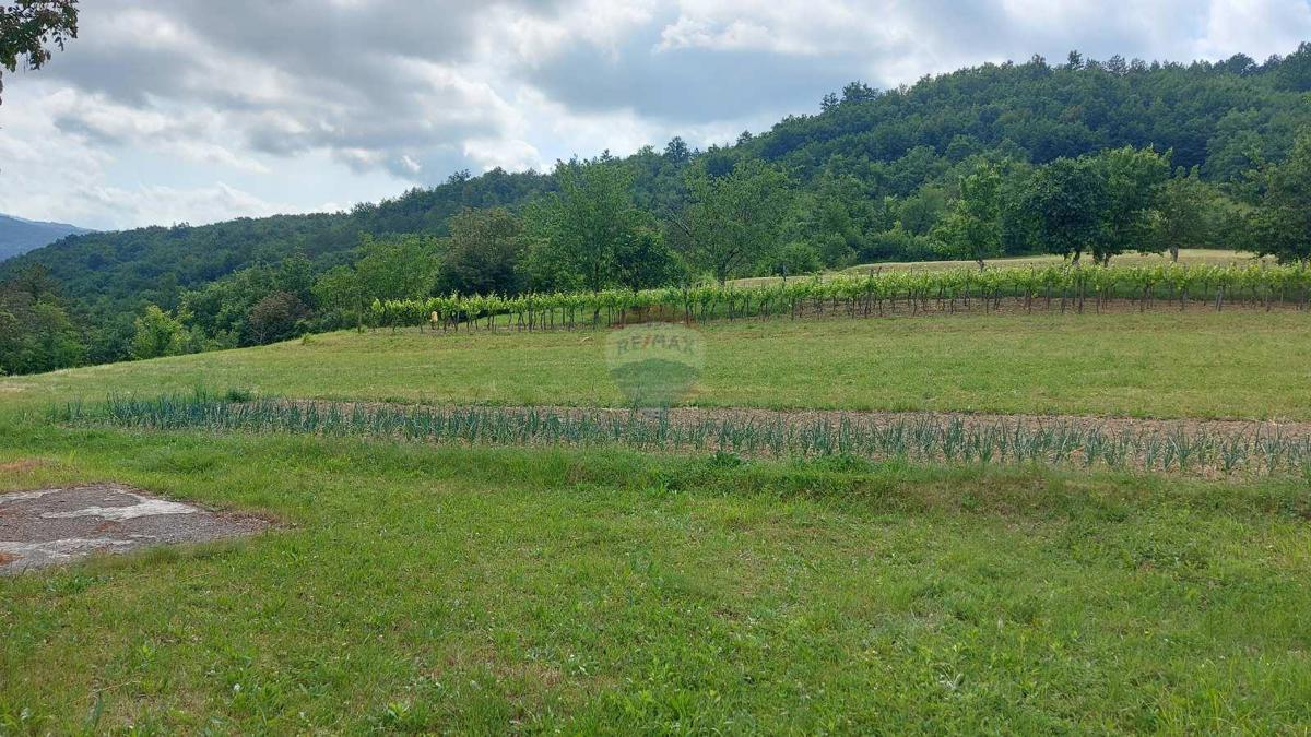LUPOGLAV