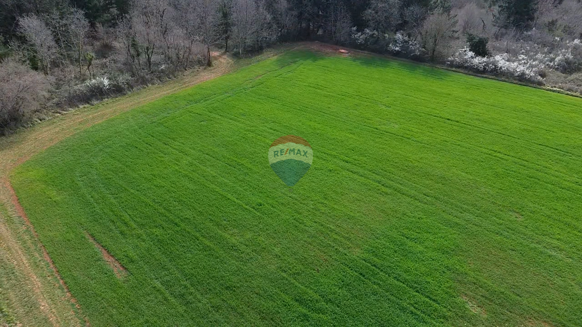 Terreno VIŽINADA, 225.000 €