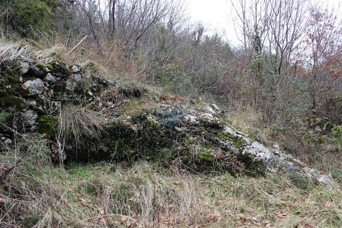 RUKAVAC