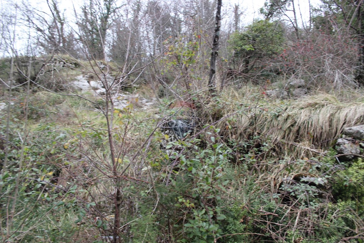 RUKAVAC