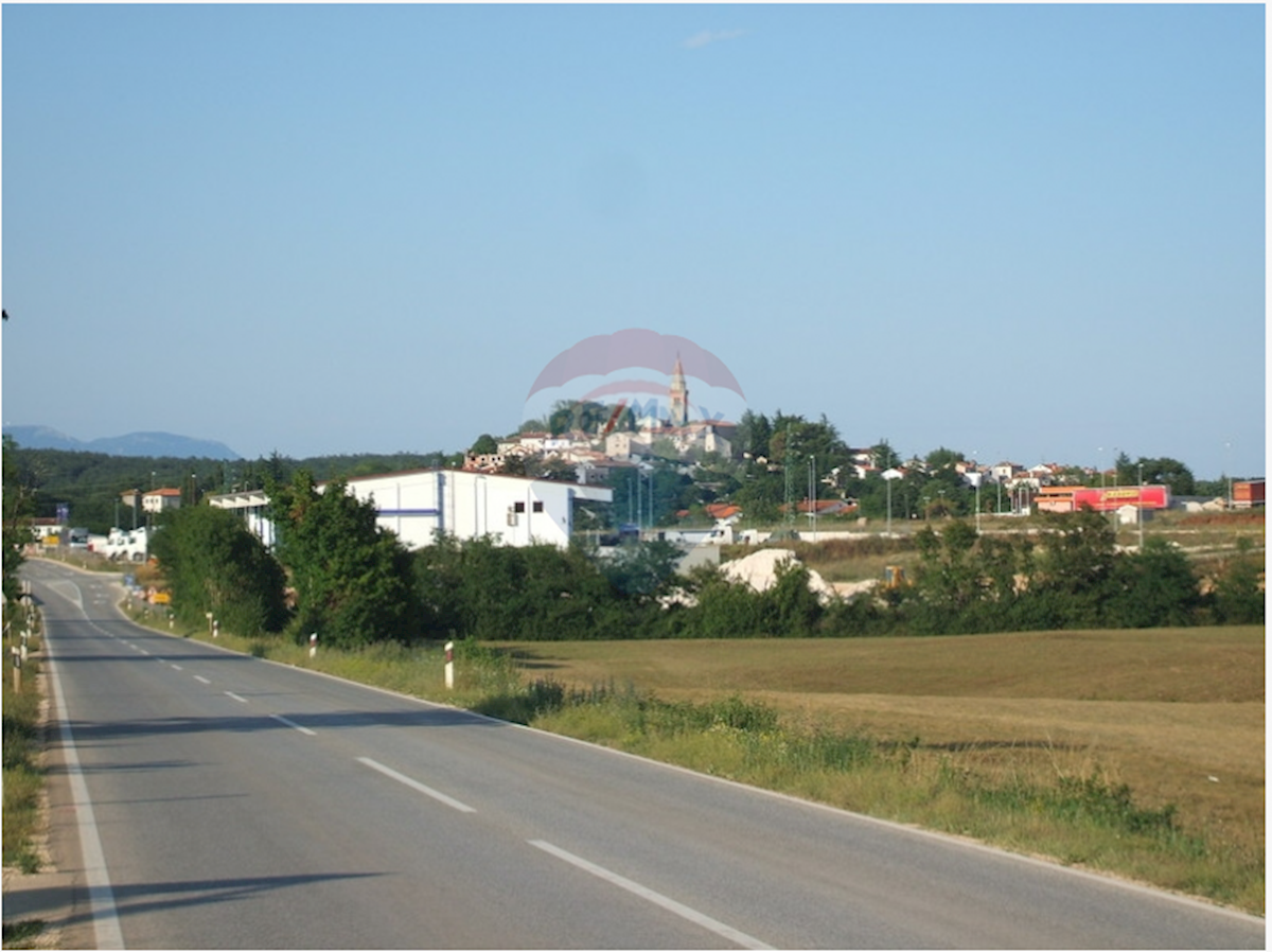 ŽMINJ