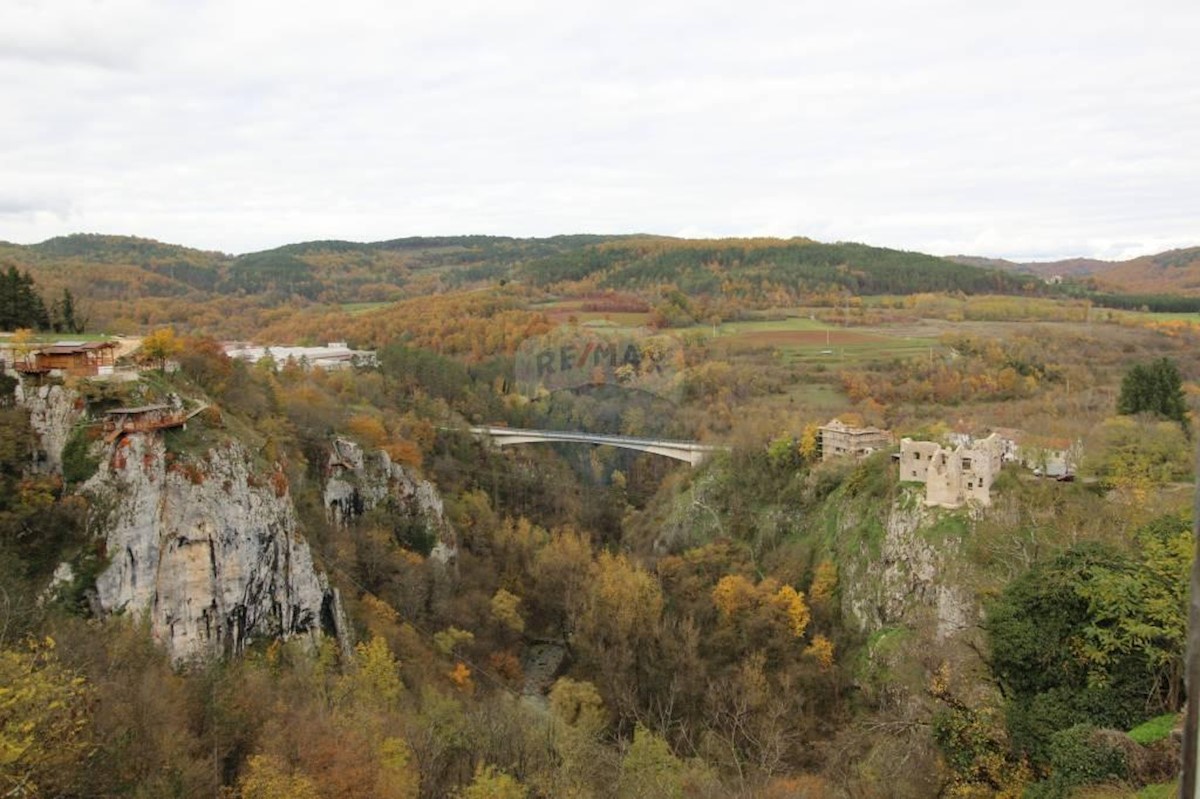 PAZIN