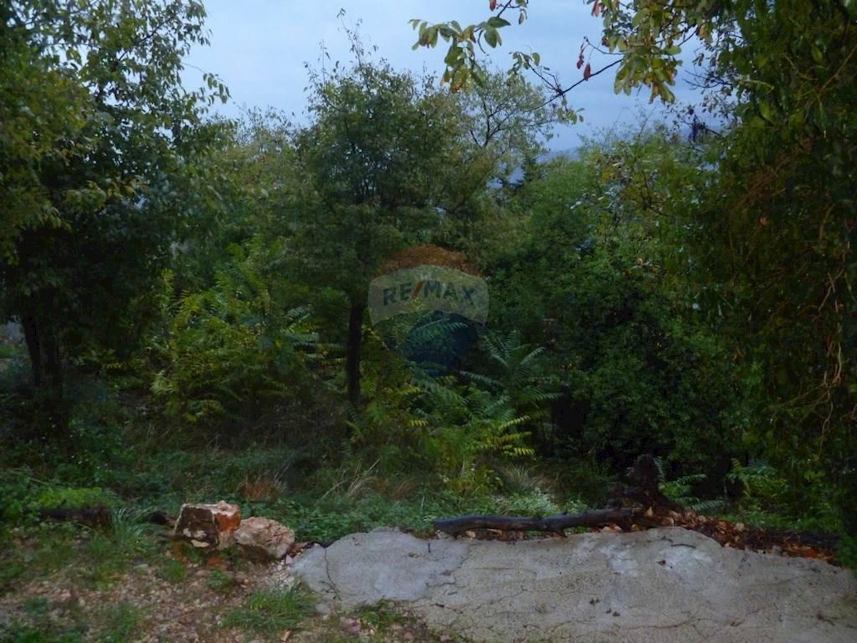 BRSEČ