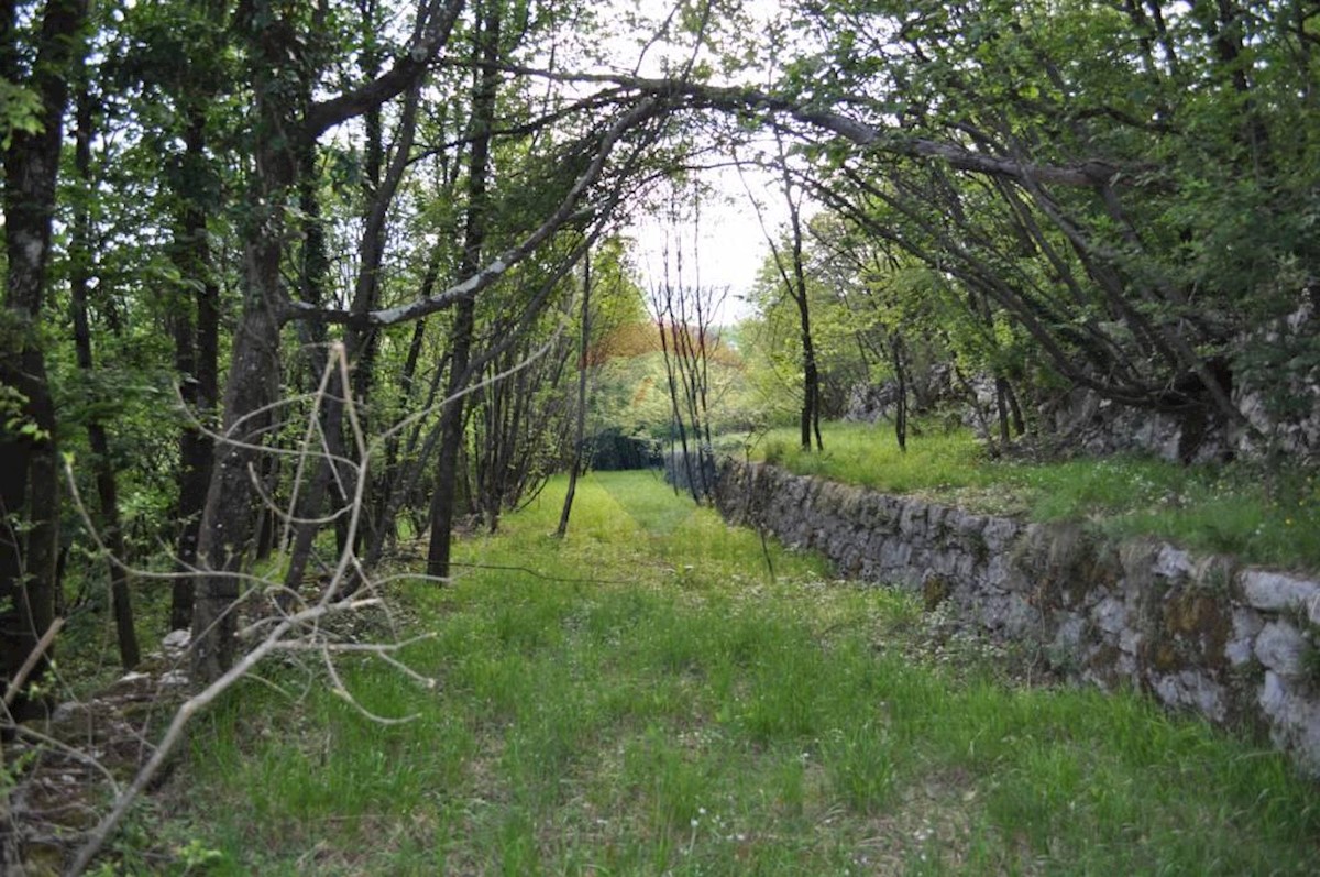 JUŠIĆI