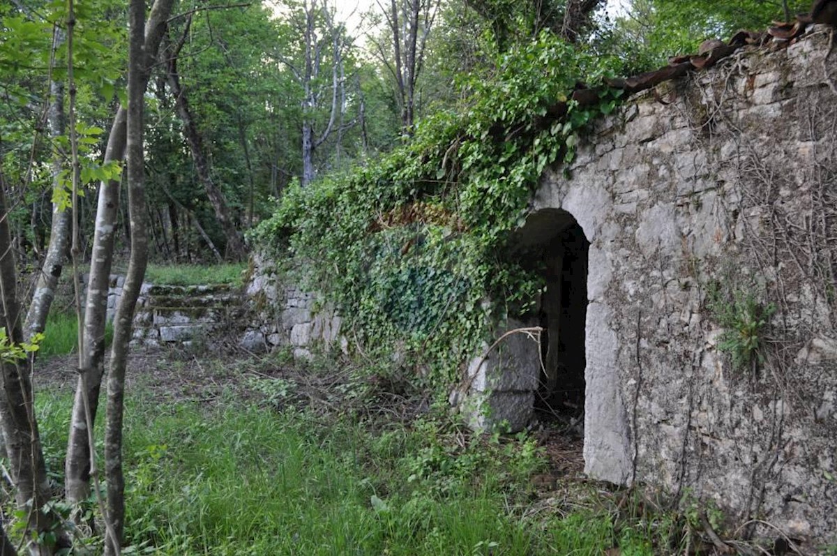 JUŠIĆI