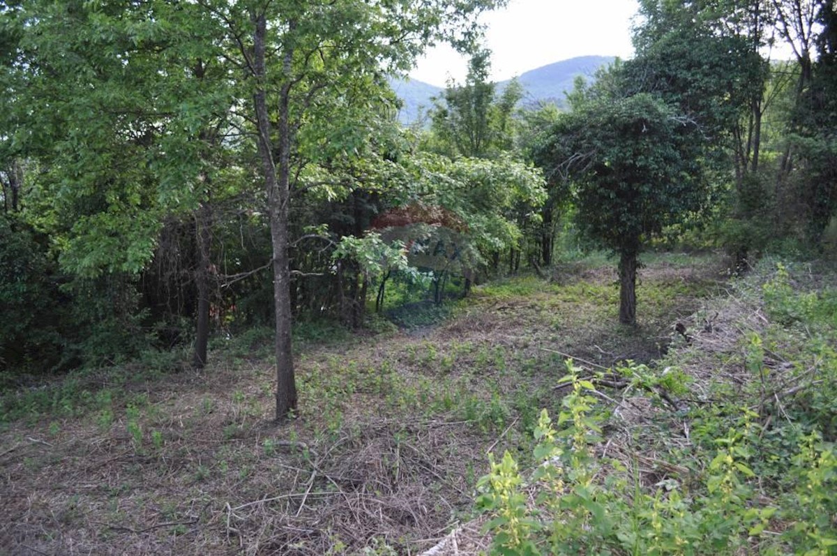 JUŠIĆI