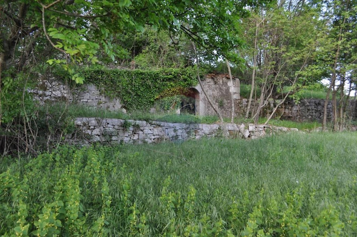JUŠIĆI