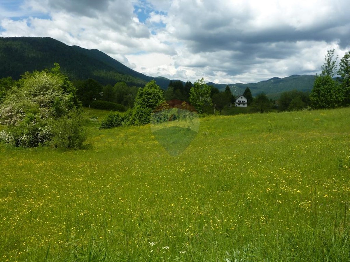 JASENAK