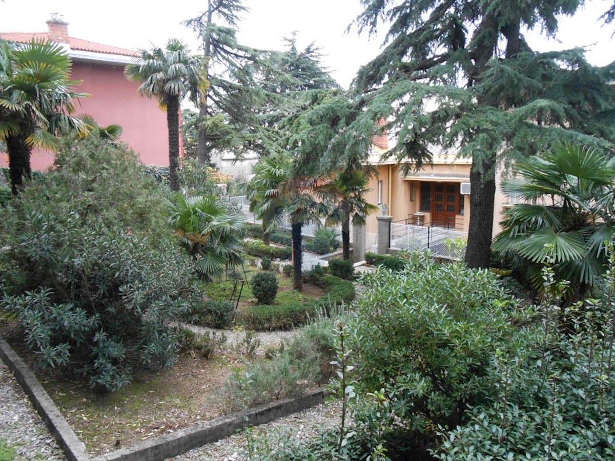 PEĆINE
