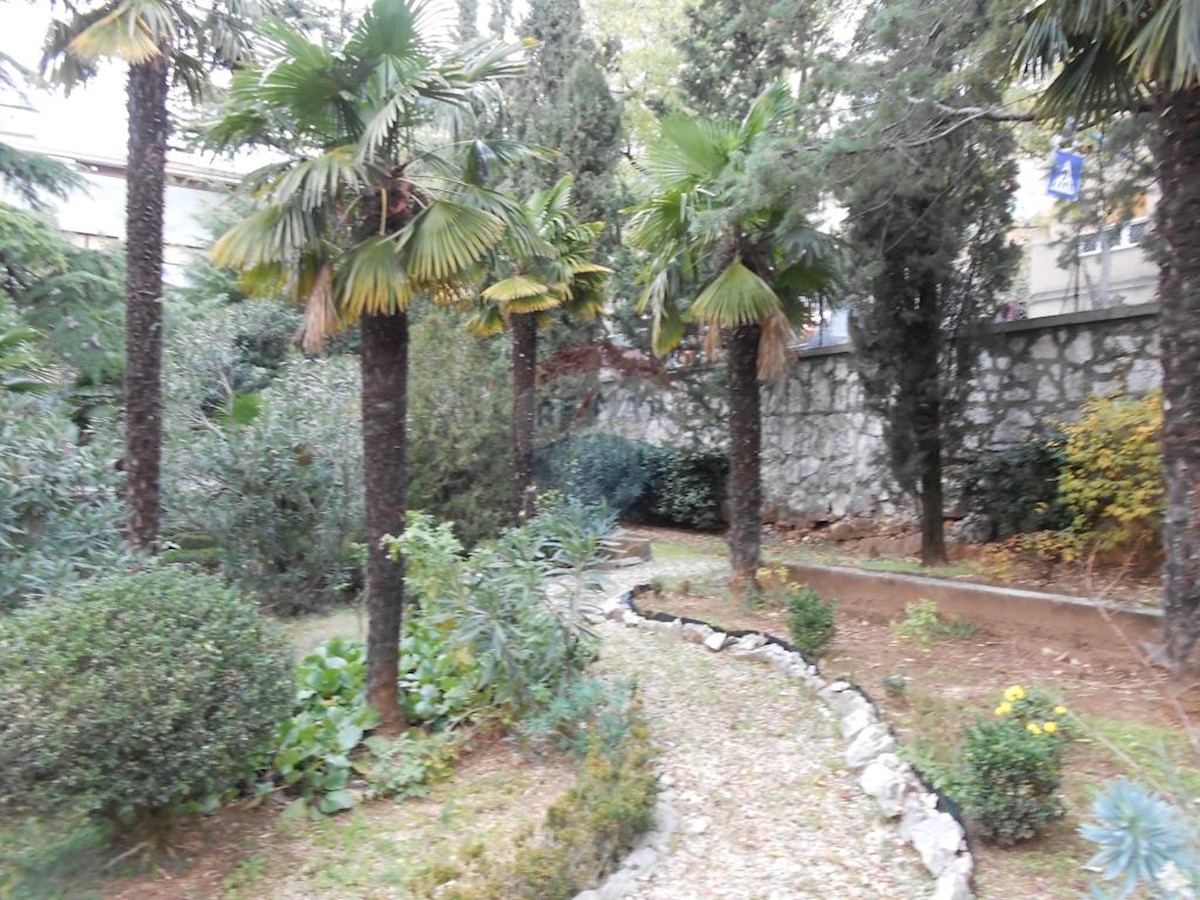 PEĆINE