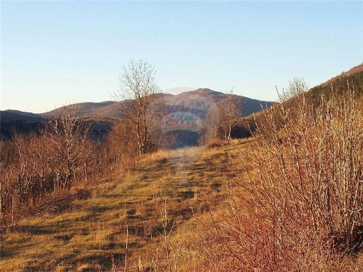 ŽMINJ