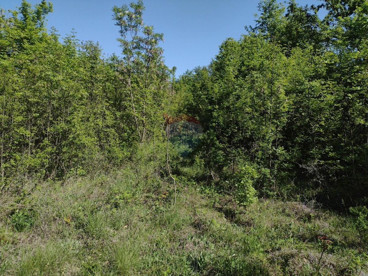 KANFANAR