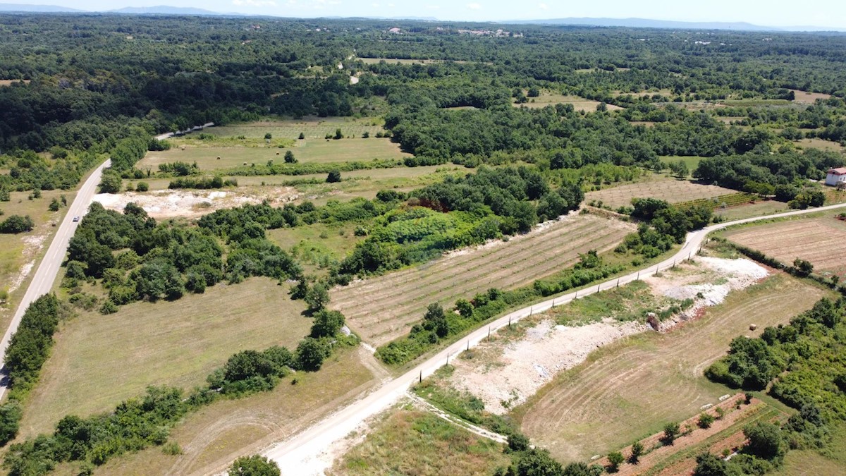 SVETVINČENAT