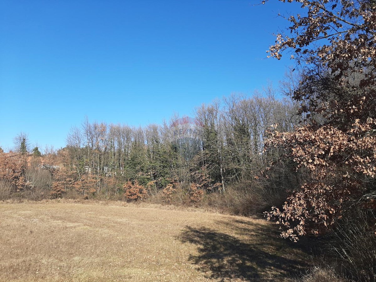 SVETVINČENAT