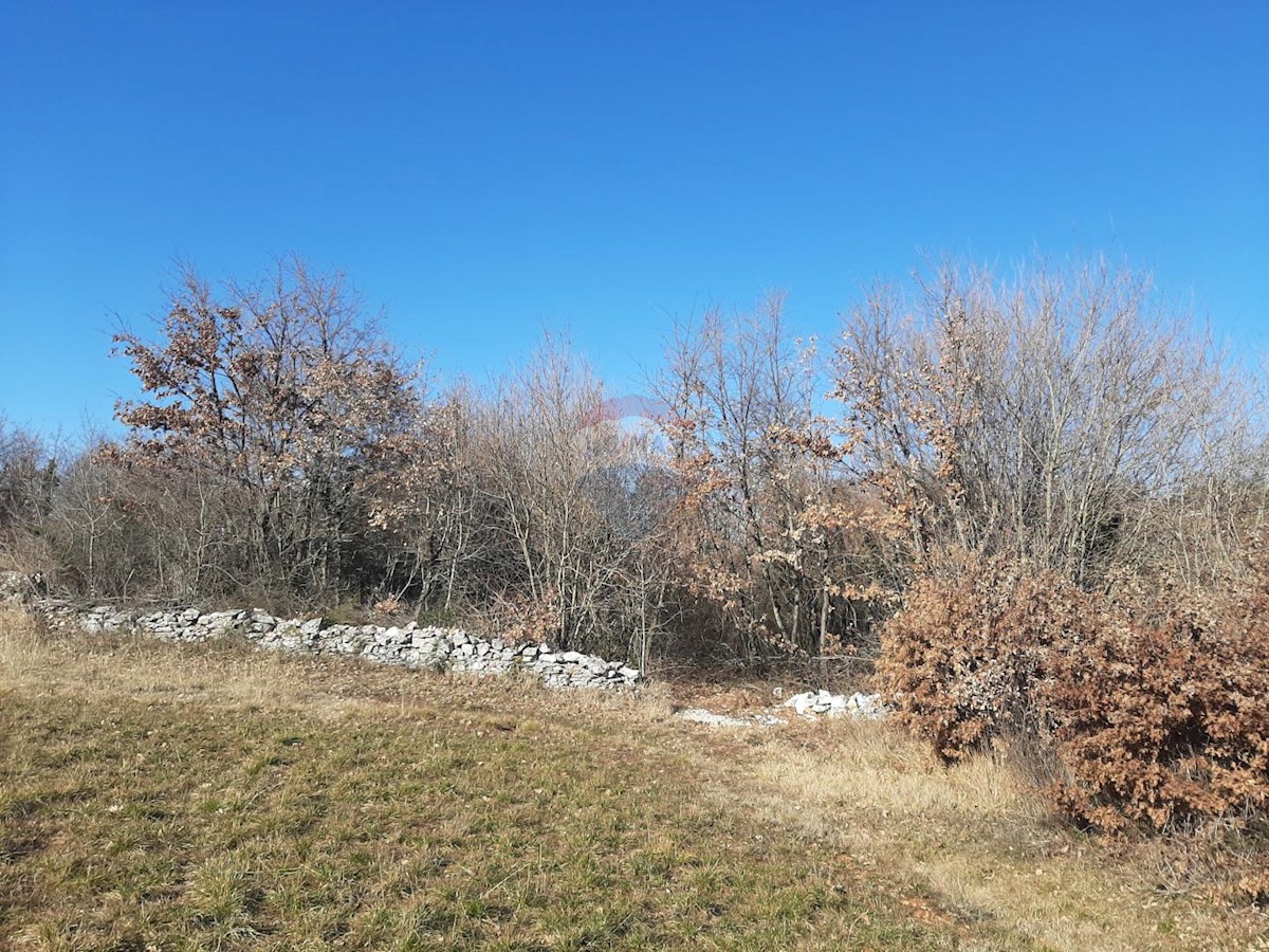 SVETVINČENAT