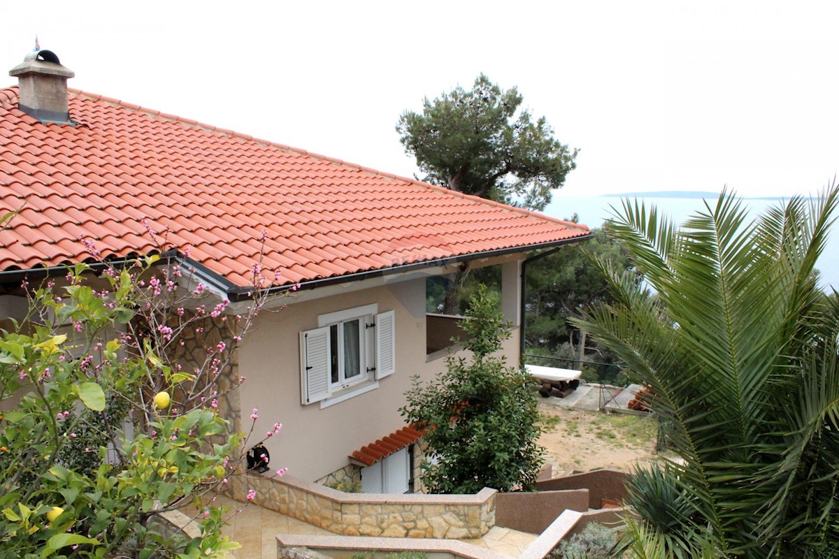 MARTINŠĆICA