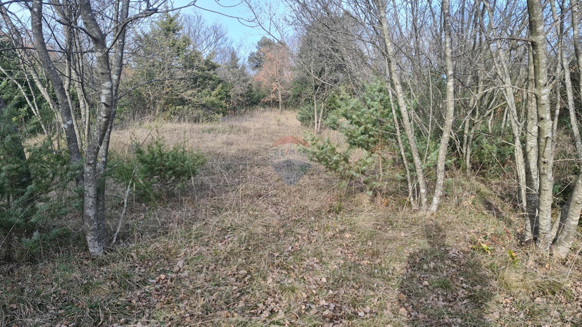 RAKALJ