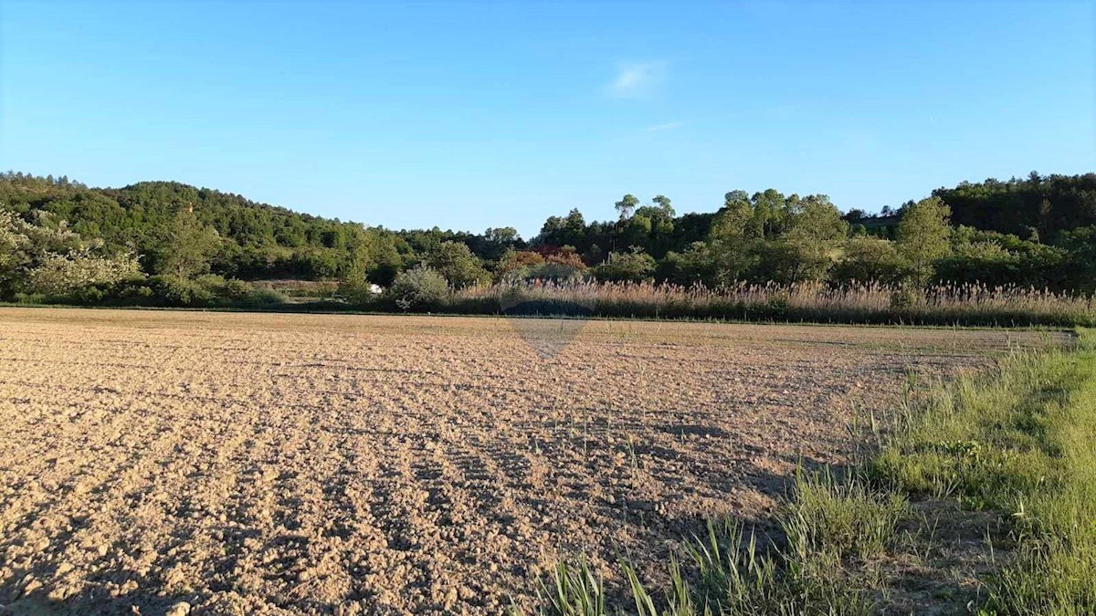 CEROVLJE