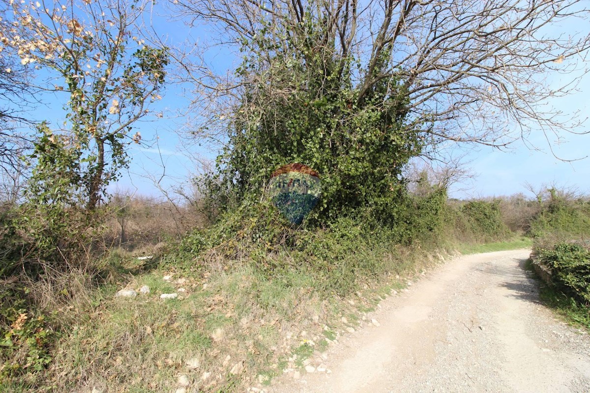 LIŽNJAN