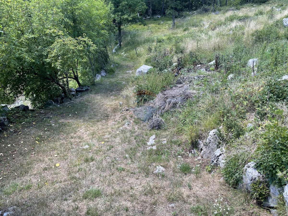 MUČIĆI