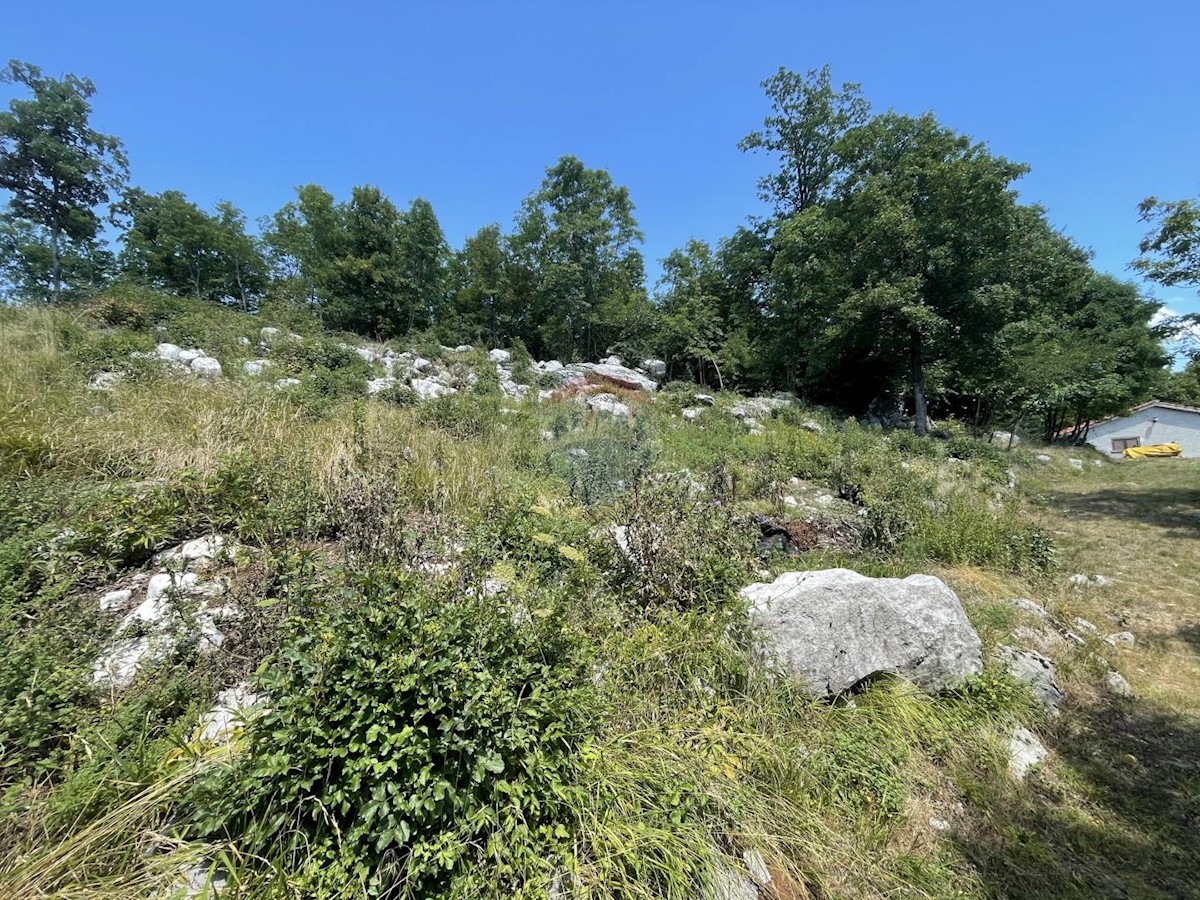 MUČIĆI