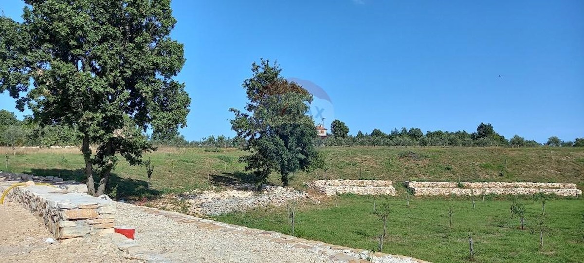 BOŠKARI