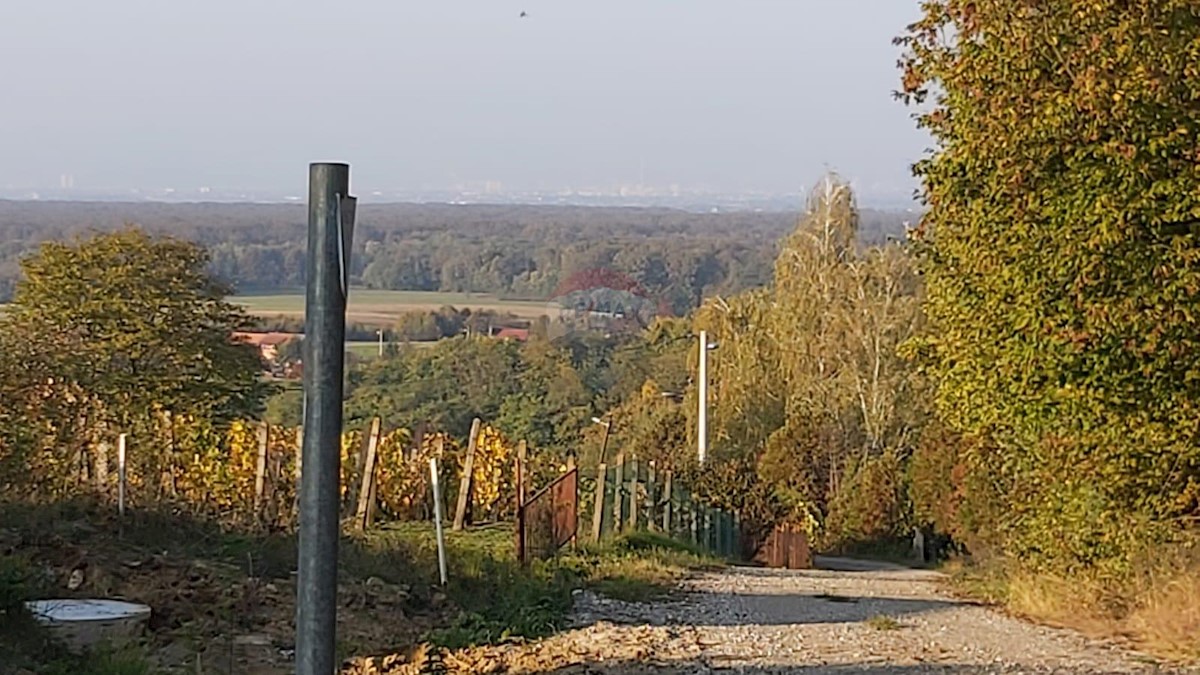 DONJI TRPUCI
