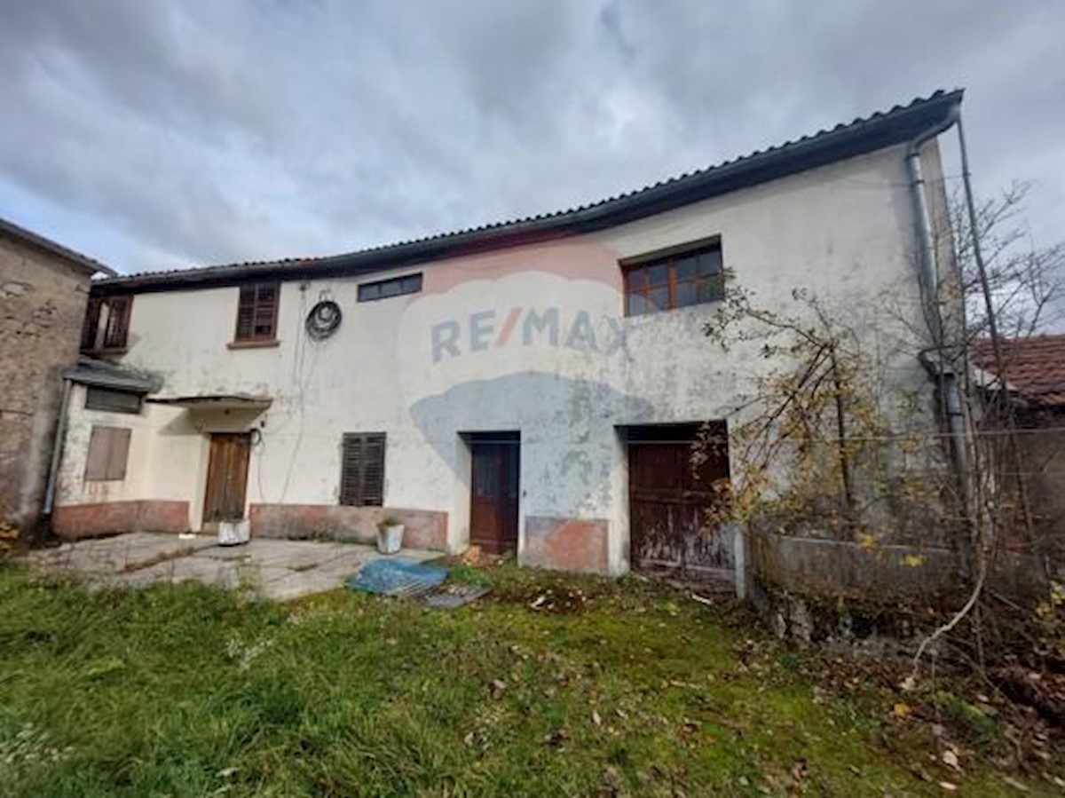 ŽEJANE