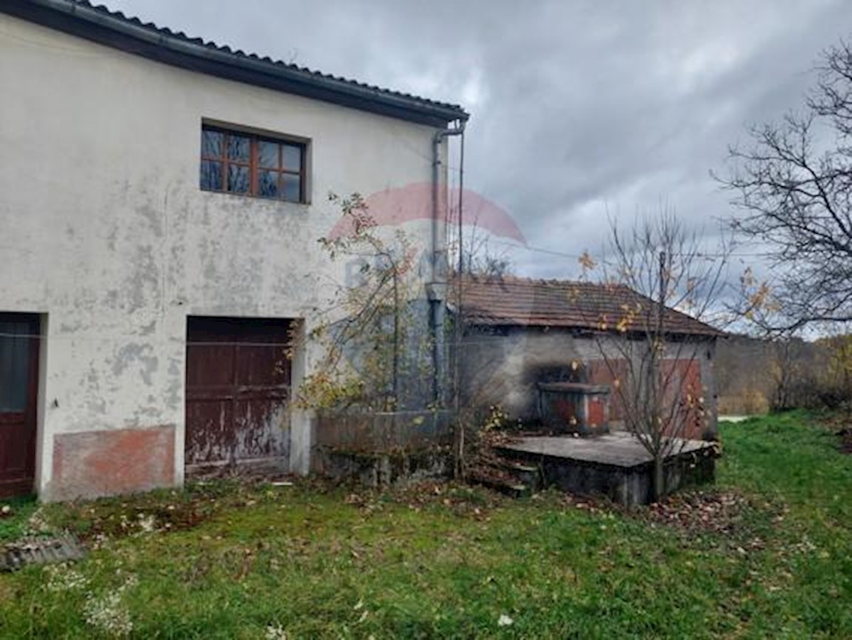 ŽEJANE