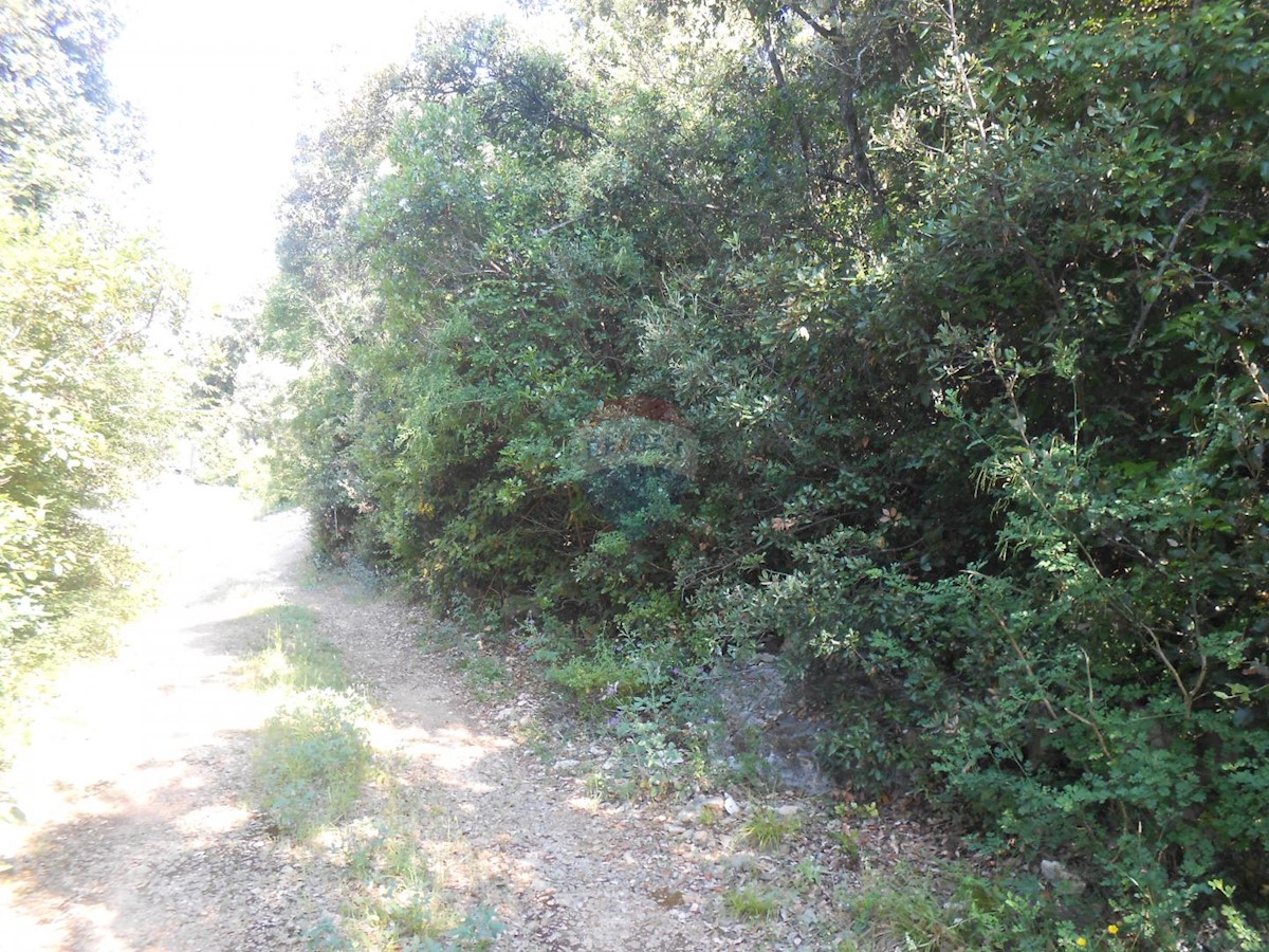 PERUŠKI