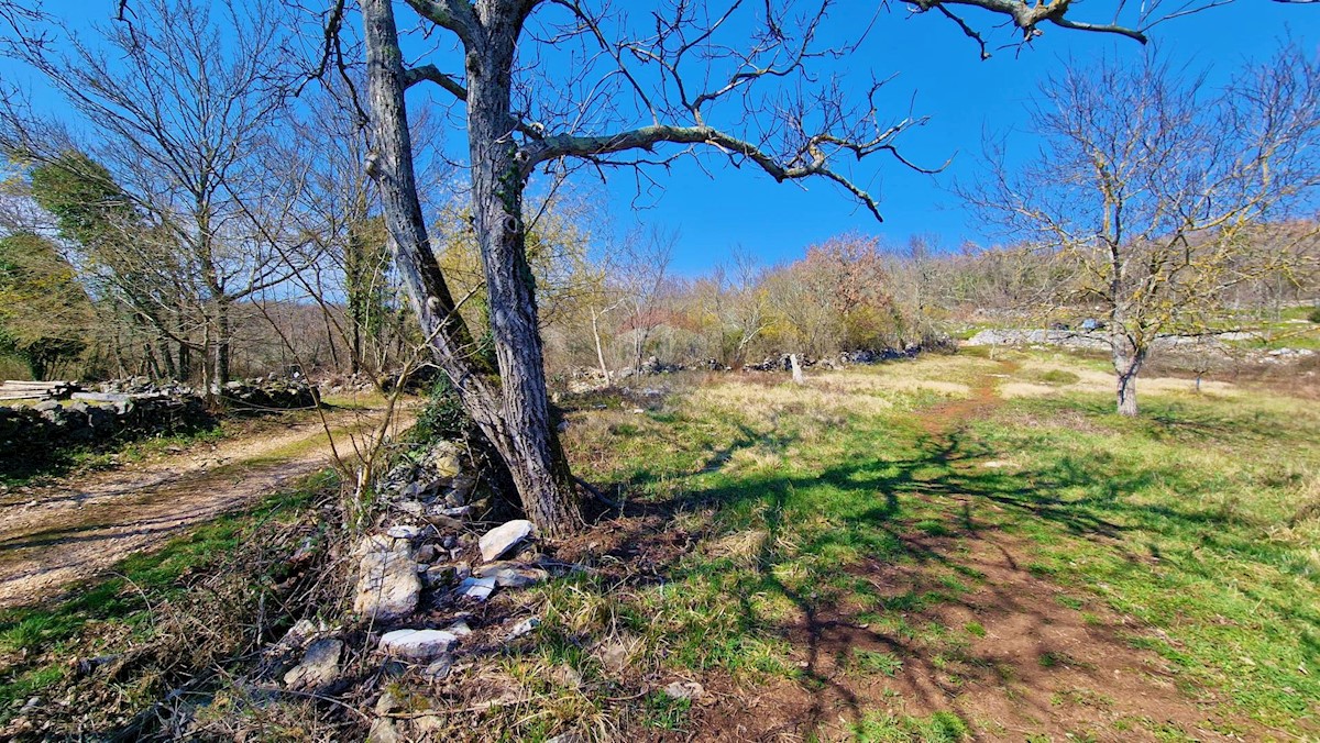 ZAVRŠJE