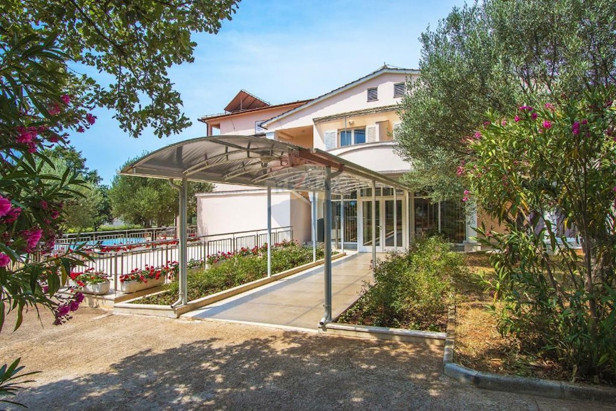 PAVIĆINI