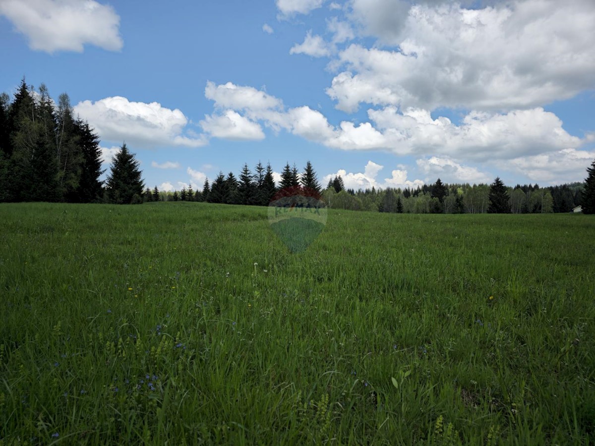 HLEVCI