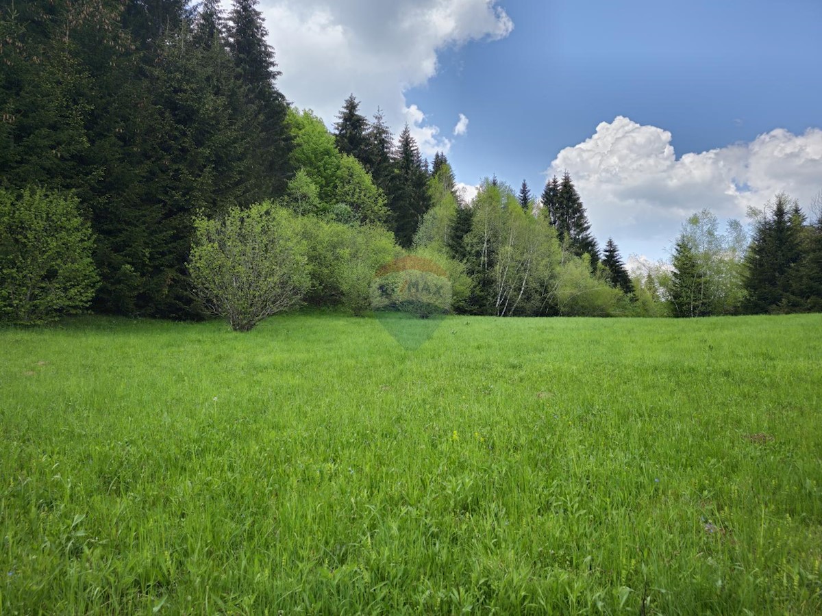 HLEVCI