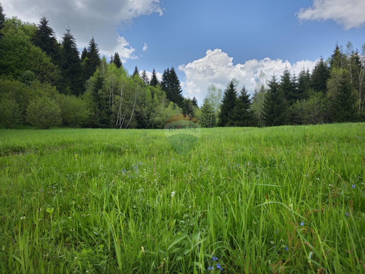 HLEVCI