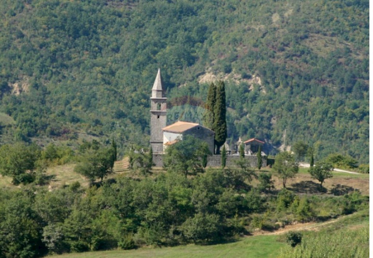 GRIMALDA