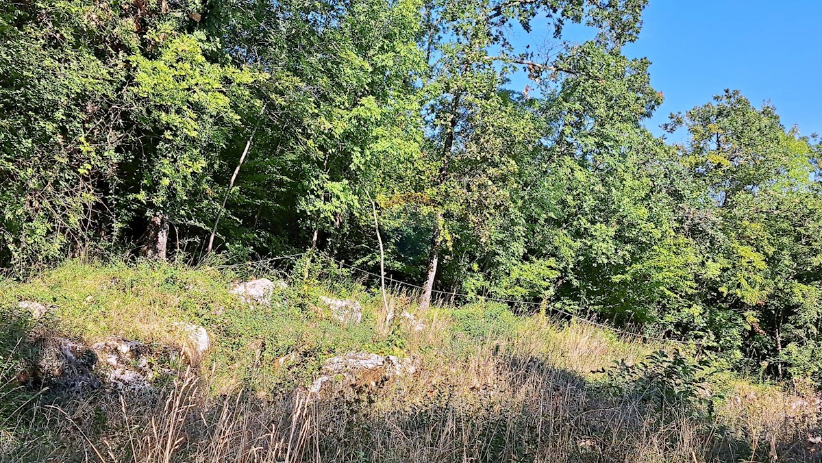 VEPRINAC