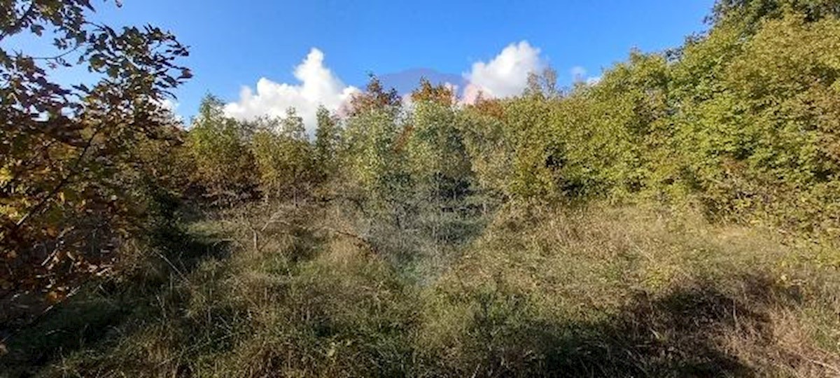 KANFANAR