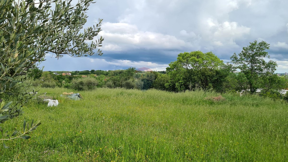 KAŠTELIR